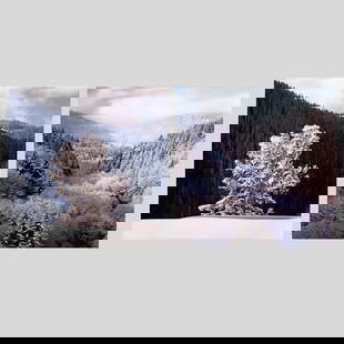Christopher Burkett Pair "Winter Landscape" Photographs: Christopher Burkett (b.1951 Oregon) Pair "Winter Landscape" Cibachrome Photographs. Includes "River Valley and Clearing, Snow Storms", 1985 and "Fir, Snow, and Mountainside, Wyoming", 1989. Pencil sig