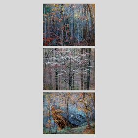 Christopher Burkett 3-Piece Tree Photos