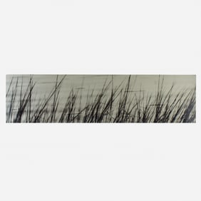 Ray Charles White "Deep Creek Grasses"