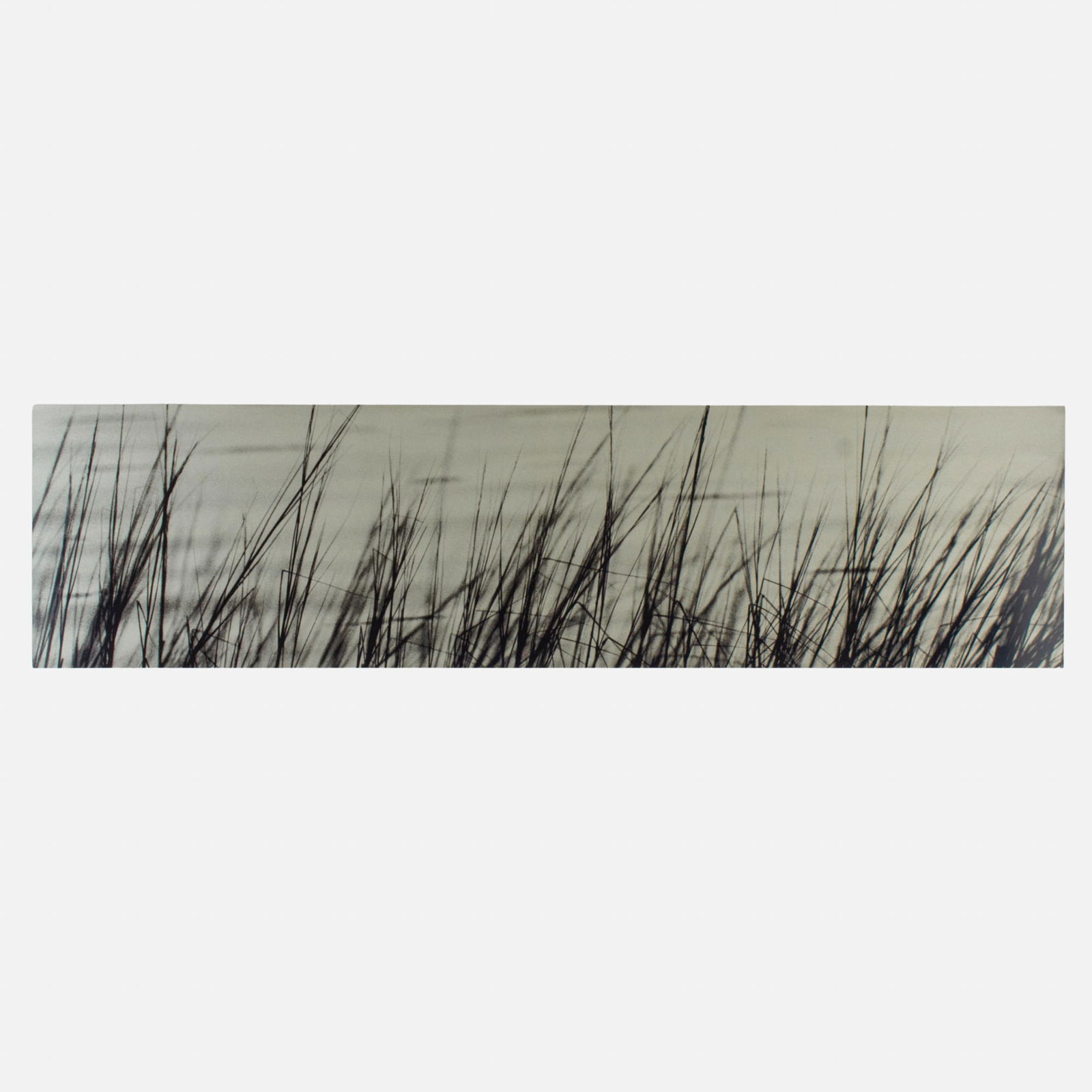 Ray Charles White "Deep Creek Grasses": Ray Charles White (b.1961 New York) "Deep Creek Grasses" Enamel on Anodized Aluminum, 1999. Edition 5/38. Signed and editioned on verso. Artwork is on 1/8" aluminum sheet measuring 13.5x53", .75" alum