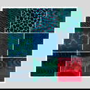 Hiroki Morinoue "Nine Views of Water" LRG Woodcut