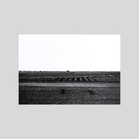Tom Bamberger "Organized Field" Silver Gelatin