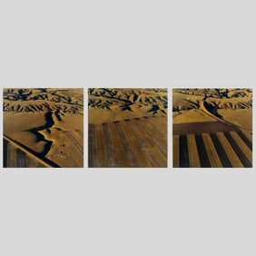 Terry Evans "Great Falls, Montana" Triptych