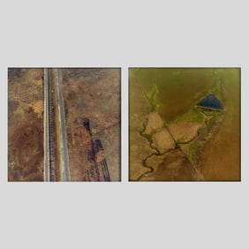 Terry Evans Pair C-Print Photographs