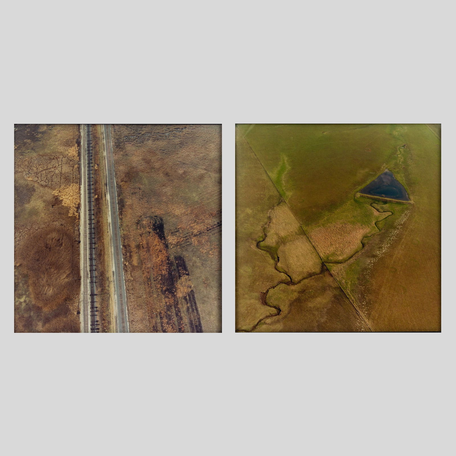 Terry Evans Pair C-Print Photographs (1 of 3)