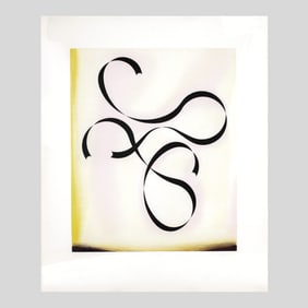 Gary Stephan "1990 II" MASSIVE Aquatint Print