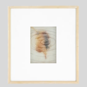 Cheryl Calleri "Explant" Mixed Media Construction