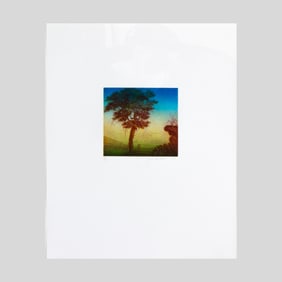 Joan Nelson "Untitled #2" Color Direct Gravure