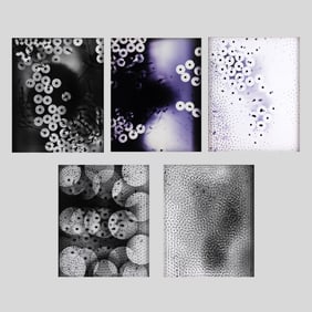 Ellen Carey "Untitled" 5-Piece Group of Photographs