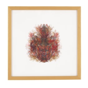 Doug Keyes (WA) "Coat of Arms" Pigment Print