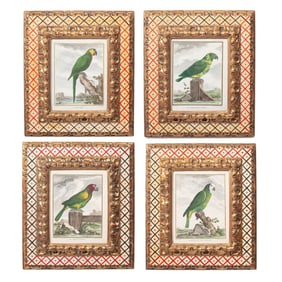 Jacques de Sève Parrot Engravings / APF Frames