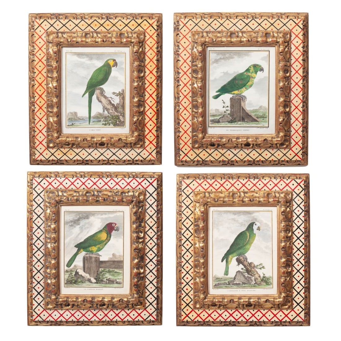 Jacques de Sève Parrot Engravings / APF Frames (1 of 6)