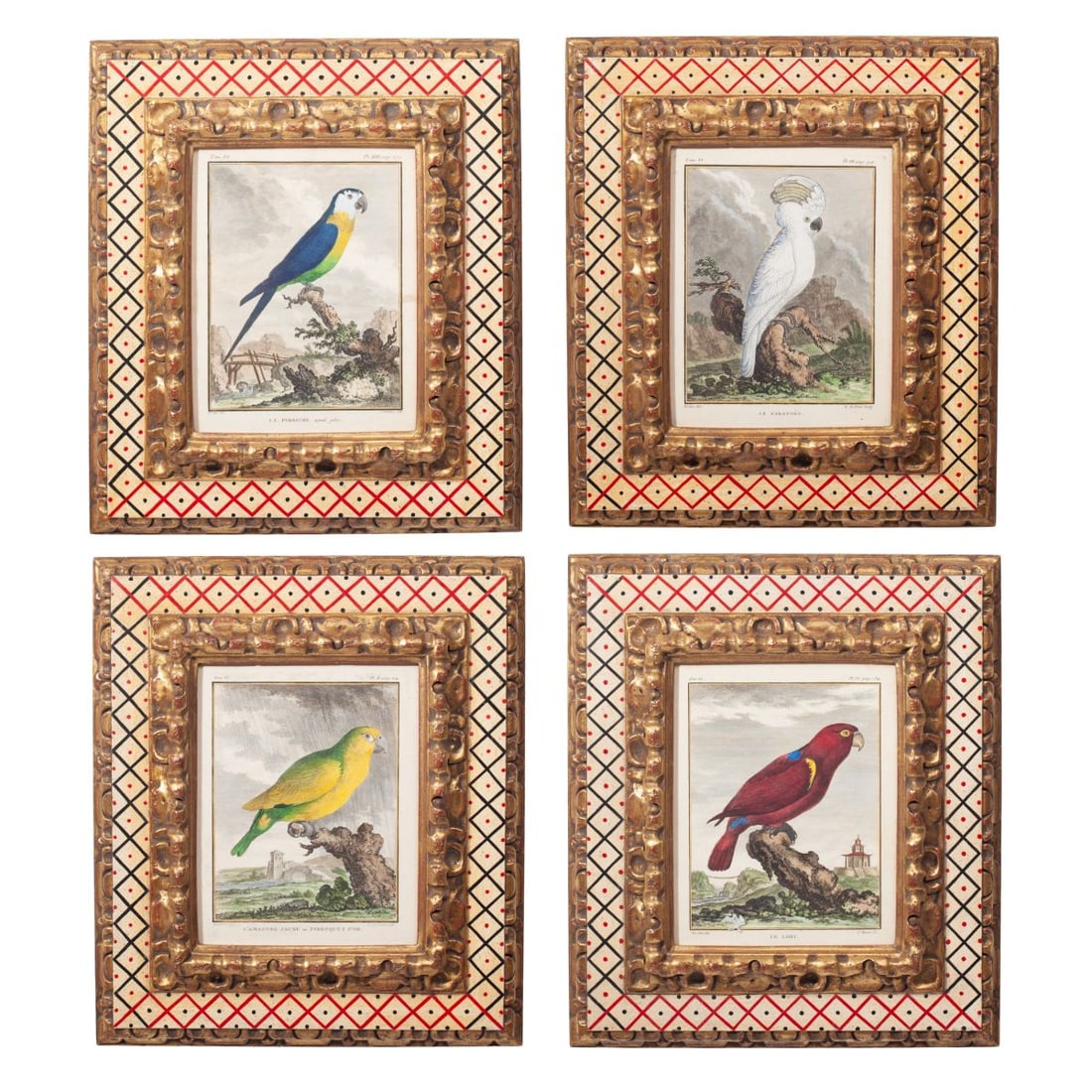 Jacques de Sève Parrot Engravings / APF Frames (1 of 6)