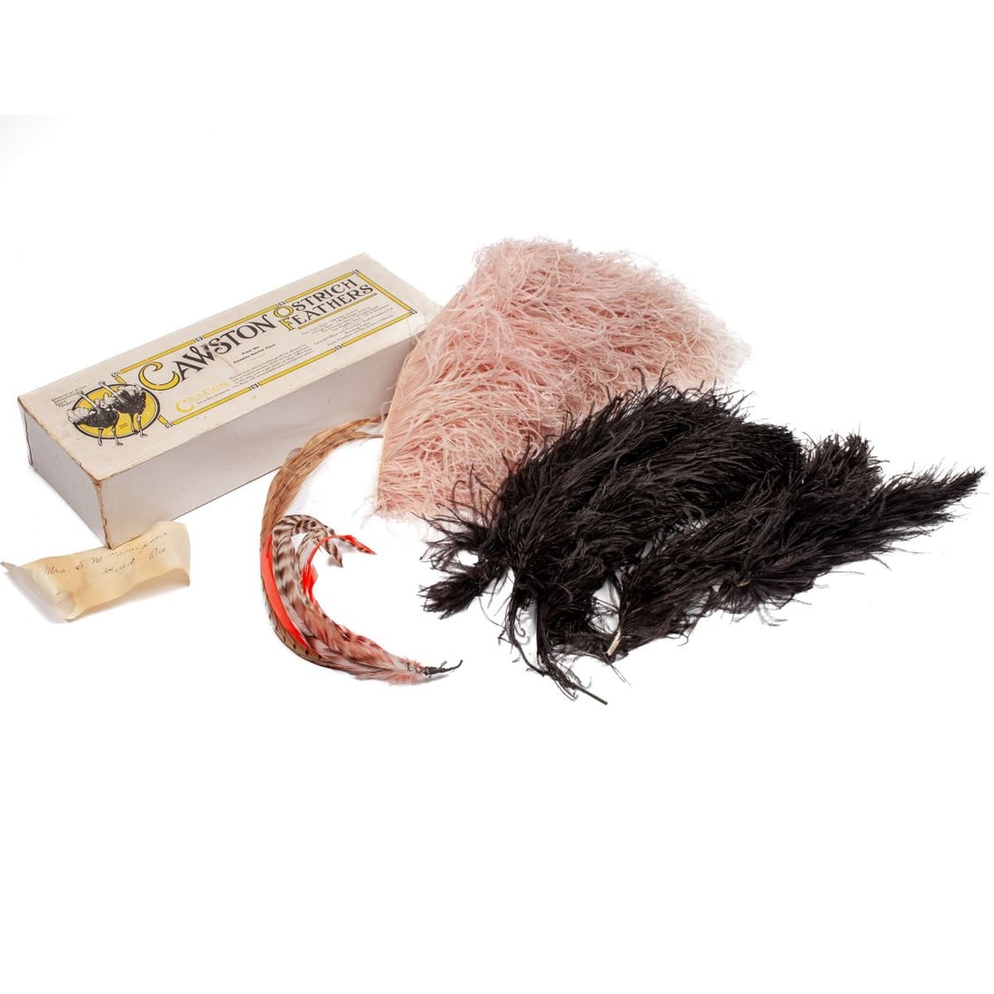 Antique Ostrich Plume Feathers / Cawston Box: Group of antique millinery ostrich plume feathers. Includes 5 black plumes (13" to 17" approx.metal digger arcade prize) and 2 pale pink plumes (19" approx.). Antique original Cawston Ostrich Farm box