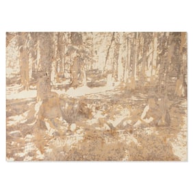 Christine Fry-Loftis (OR) "Idaho No.2-1"