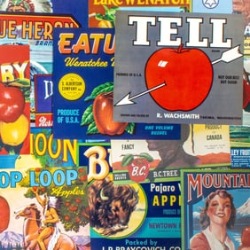 Collection of 32 Vintage Fruit Crate Lables