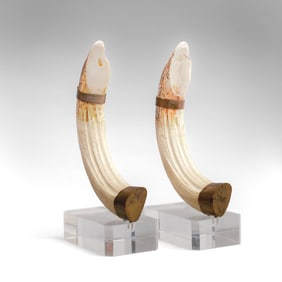Vintage Faux Warthog Tusk & Lucite Bookends