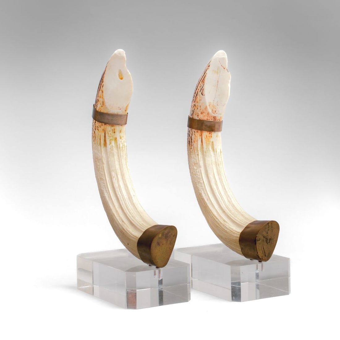 Vintage Faux Warthog Tusk & Lucite Bookends: Vintage resin faux warthog tusk bookends; the ends wrapped in metal and screwed into faceted lucite blocks. Some expected use wear/scratches to lucite; one tusk may be slightly chipped at edge. 11" H