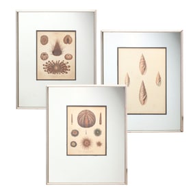 Specimen Etchings / John Wilkes & George Perry