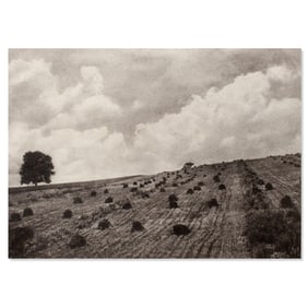 A. Aubrey Bodine Silver Gelatin Photograph 1928