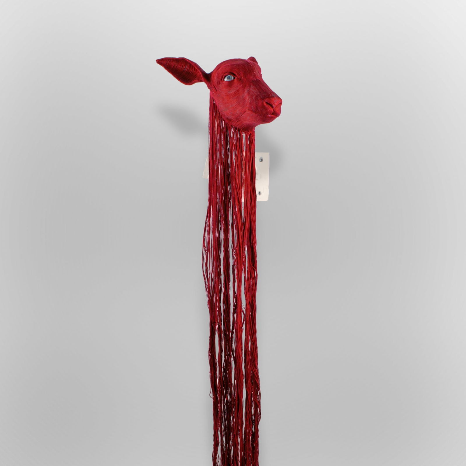 Lindsay Pichaske "Frayed" Mixed Media Sculpture: Lindsay Pichaske (Missouri) "Frayed" Mixed Media Sculpture, circa 2013. Unsigned. Crimson string over painted earthenware with painted steel wall display. Fawn head measures 12x9x5" with 36" long stri