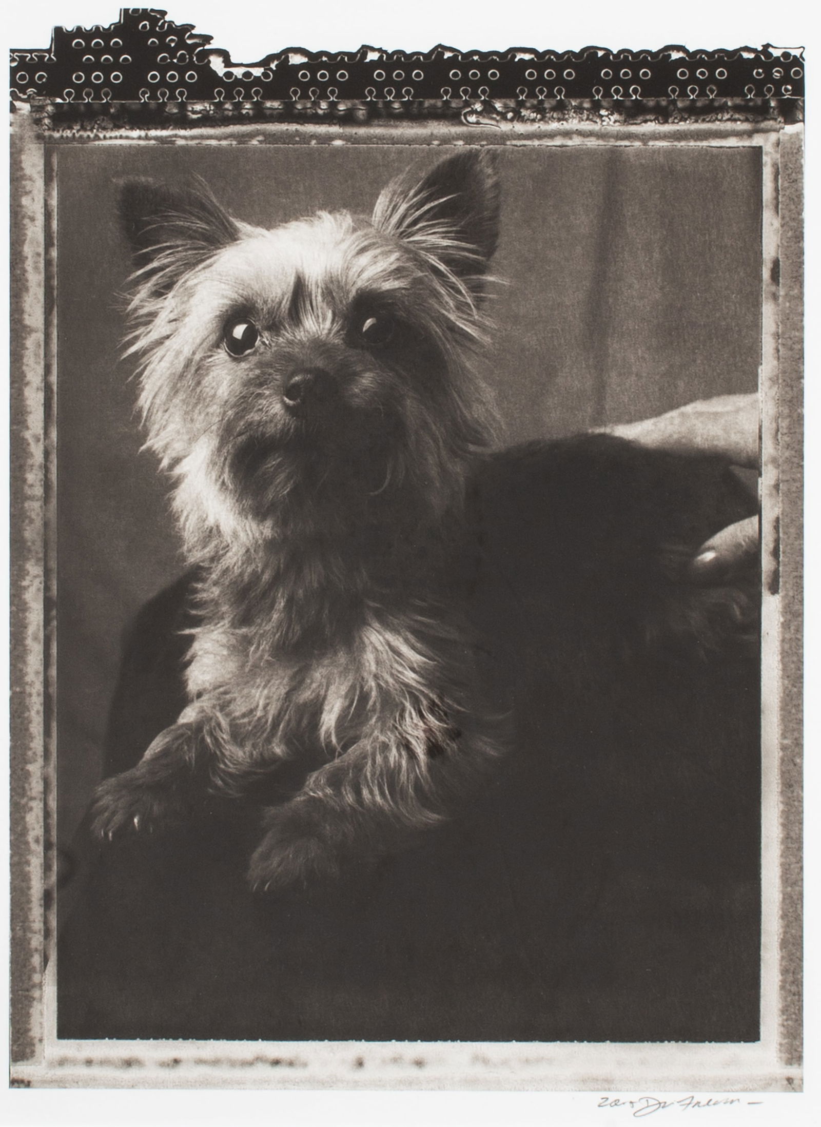 Davis Freeman (WA) "Tassie" Photograph (1 of 3)