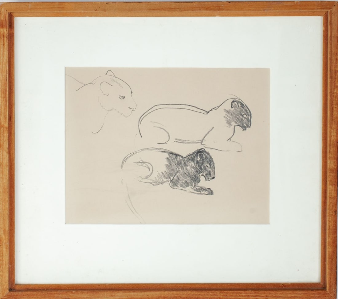Guy Anderson (WA) Study for Lion Drawing: Guy Anderson (1906-1998 Washington) Study for Lion Graphite on Paper Drawing. Unsigned. On sheet measuring 9x11"; framed with overall size 15x17". Excellent condition. Purchased in a lot of drawings a