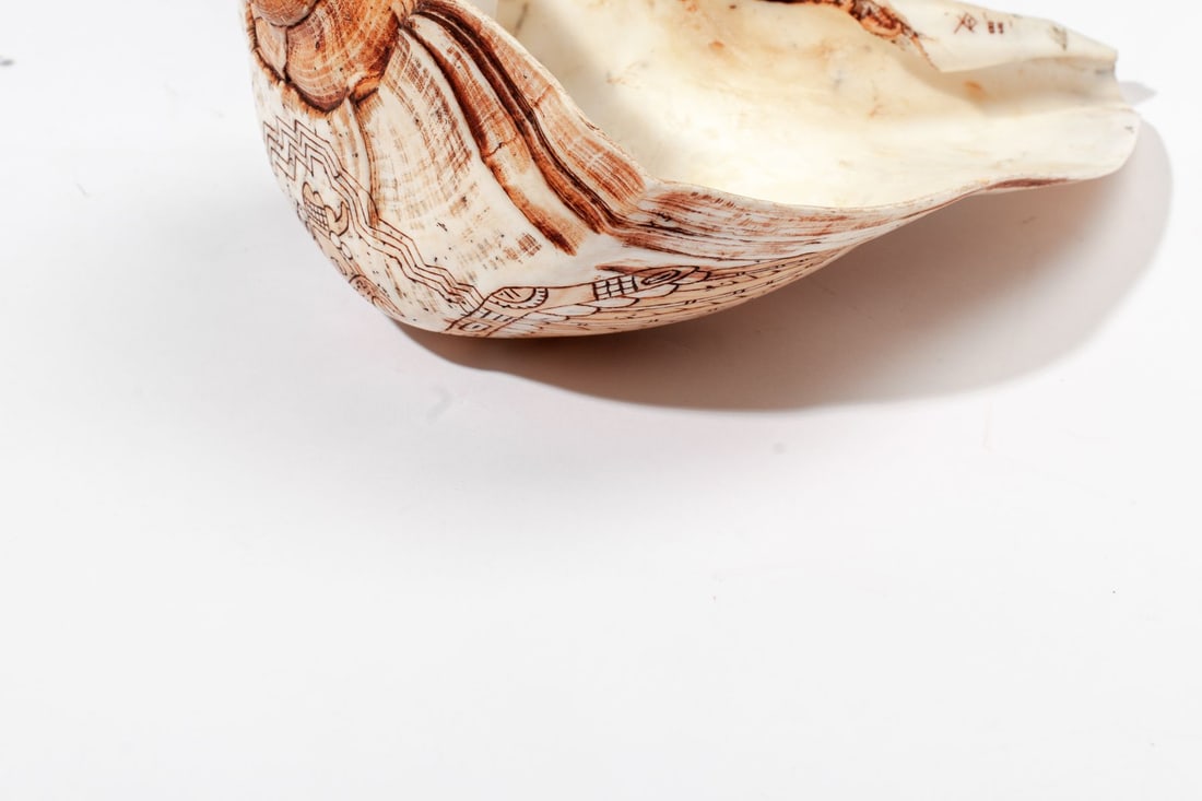 Dan Townsend Cherokee Carved Conch Shell - 4