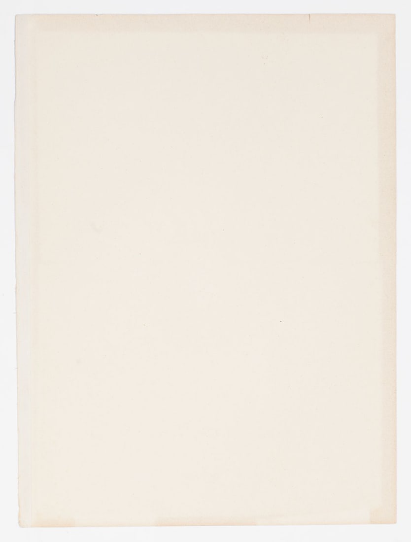 Pierre Bonnard "The Sun" Color Lithograph - 3