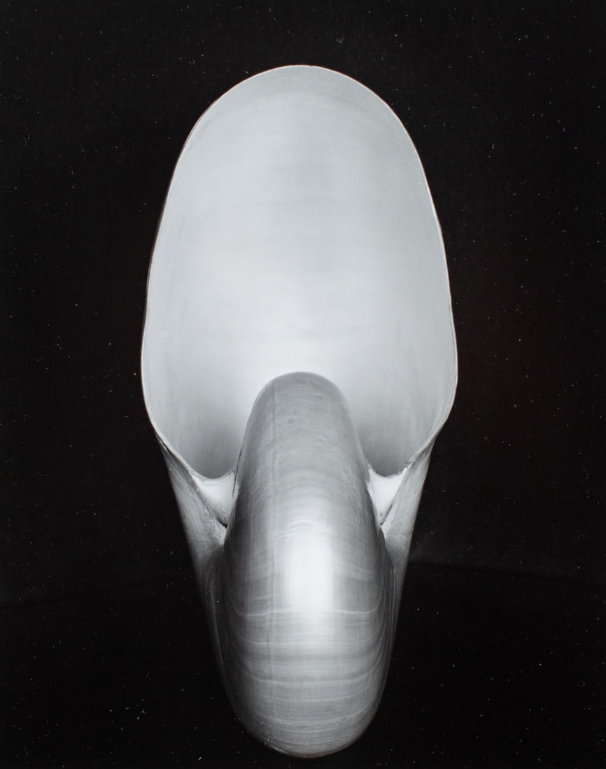 Edward Weston "Shell" Photograph (1 of 5)