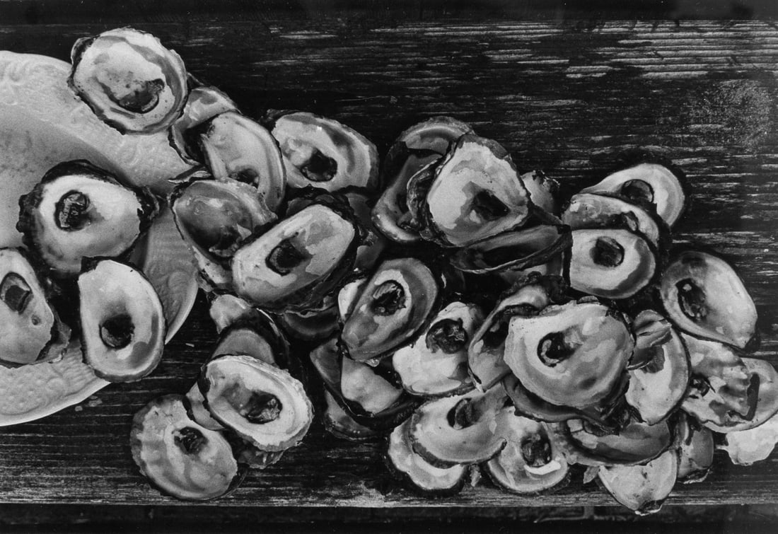 Lilo Raymond "Oyster Shells" Signed Photograph: Lilo Raymond (1922 - 2009 Germany / New York) "Oyster Shells" silver gelatin photograph. Signed and dated at lower right. In brushed metal frame. Excellent condition. Sight 10x13.75"; Frame 