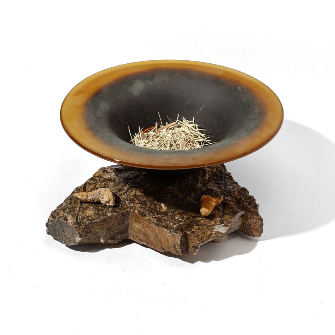 Mixed Media Glass & Fossiliferous Limestone Art: Mixed media artwork constructed of glass bowl adhered to fossiliferous limestone with imprinted plants to upper surface and two fossils attached to surface. With loose porcupine needles and preserved