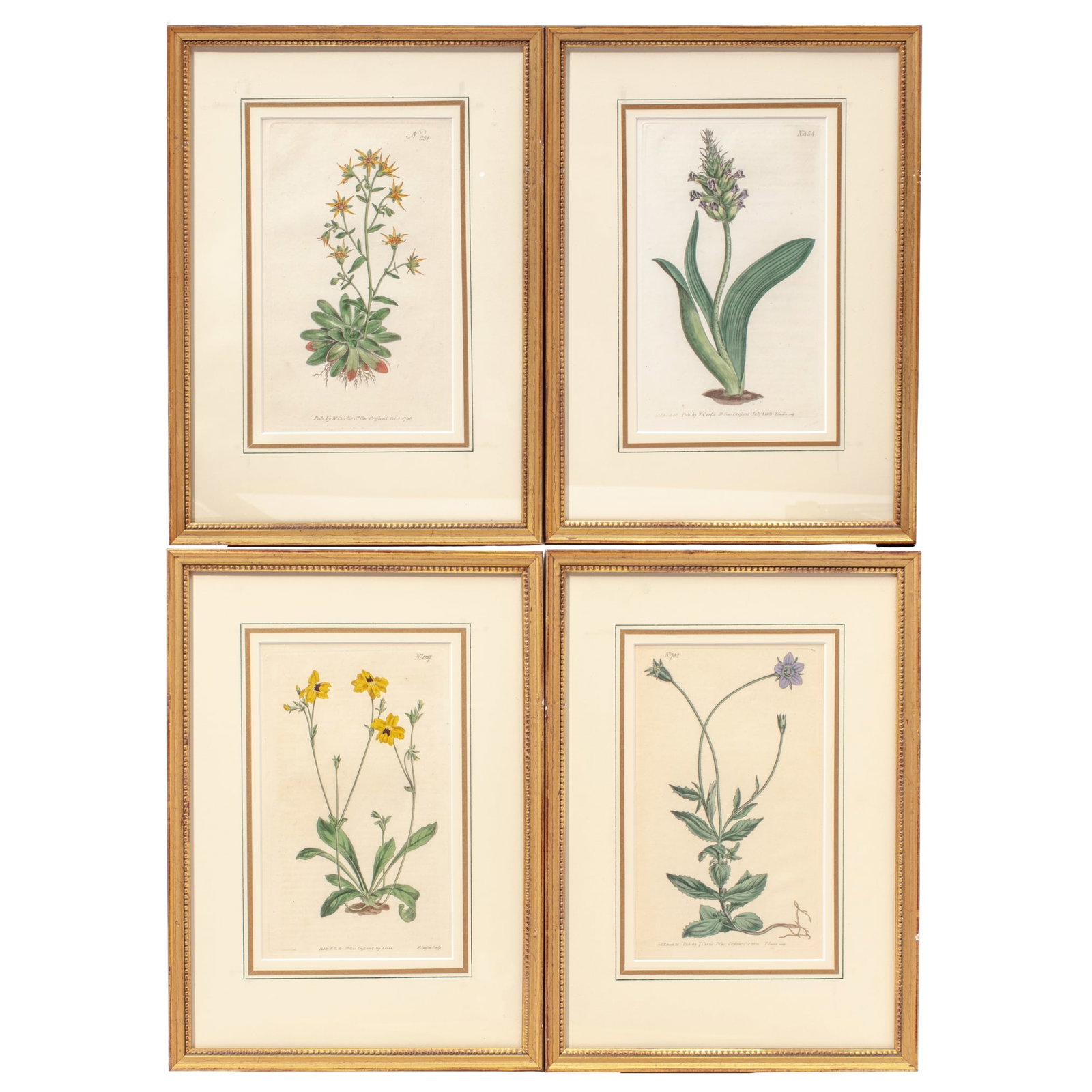 Four Antique Colored Botanical Engravings (1 of 5)