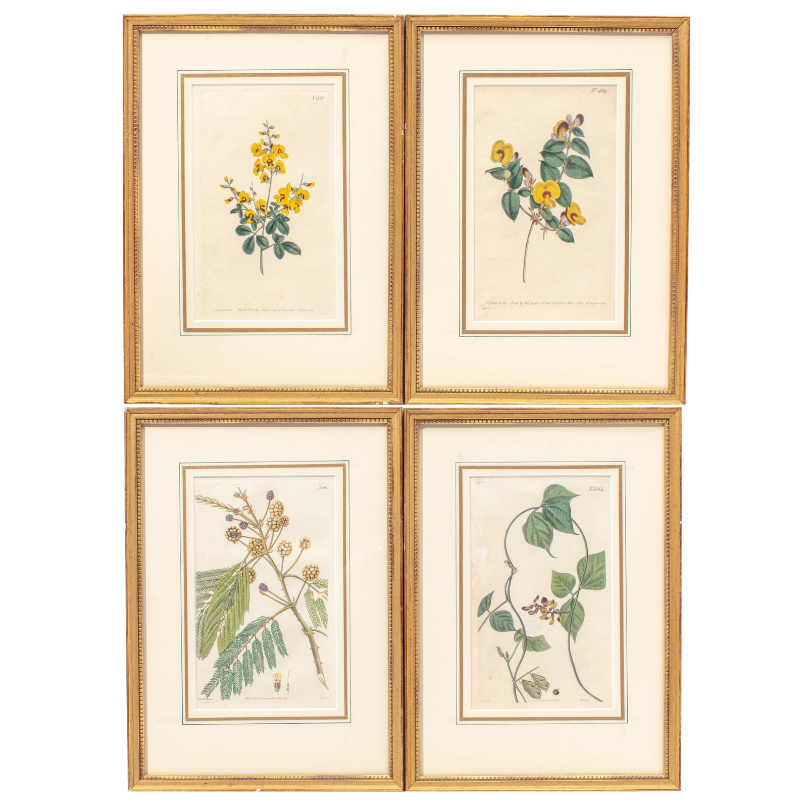 Four Antique Colored Botanical Engravings (1 of 5)