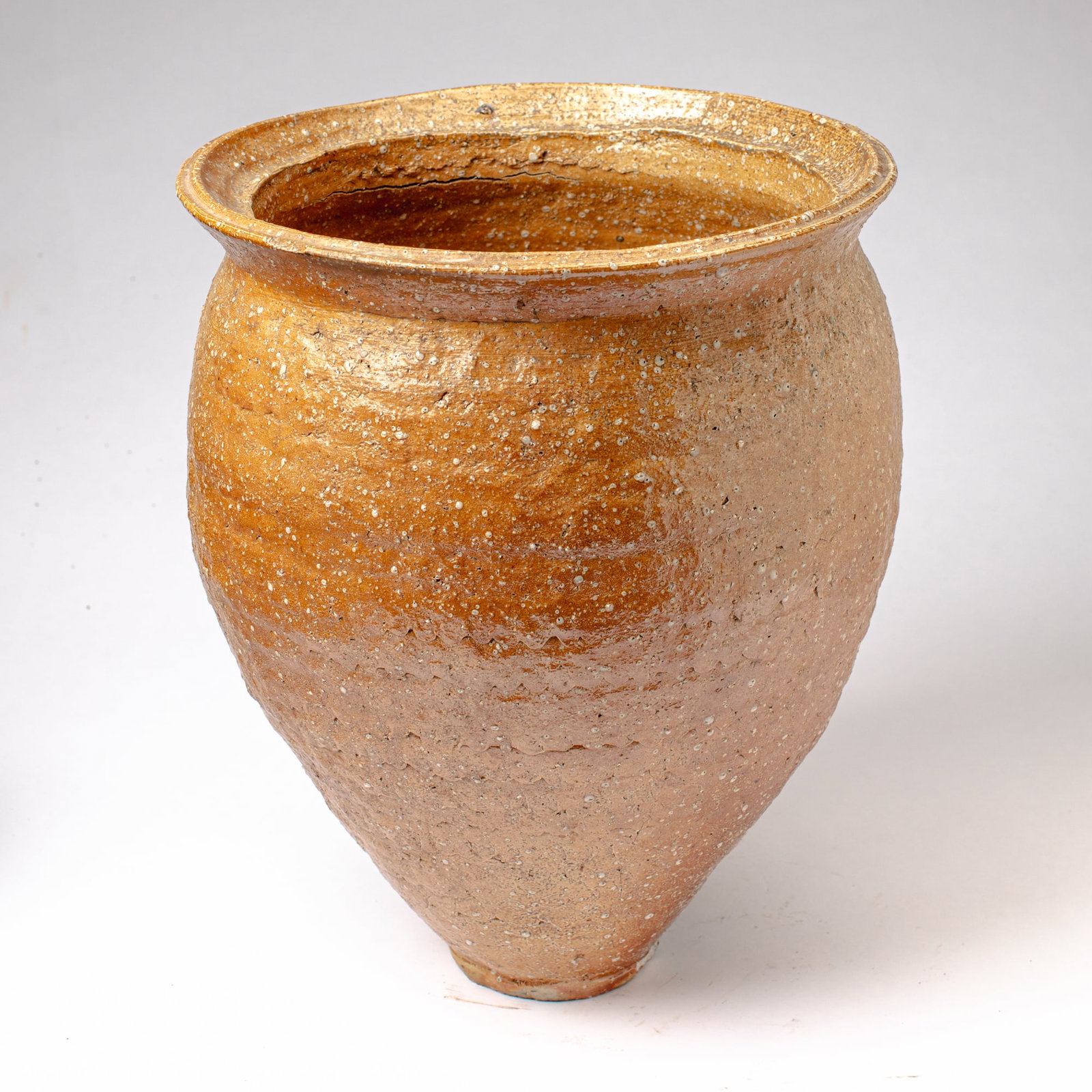 Large Japanese Shigaraki Ware Vase (1 of 2)