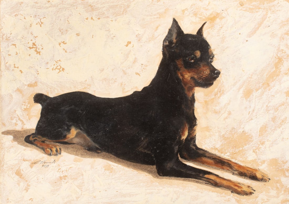 Painting of Miniature Pinscher signed C Frank: Painting of Miniature Pinscher signed C Frank, 1959. Oil and oil pastel on paper. Signed and dated lower left by hind feet, inscription on verso reads Rose Frank with framing instructions. Artist
