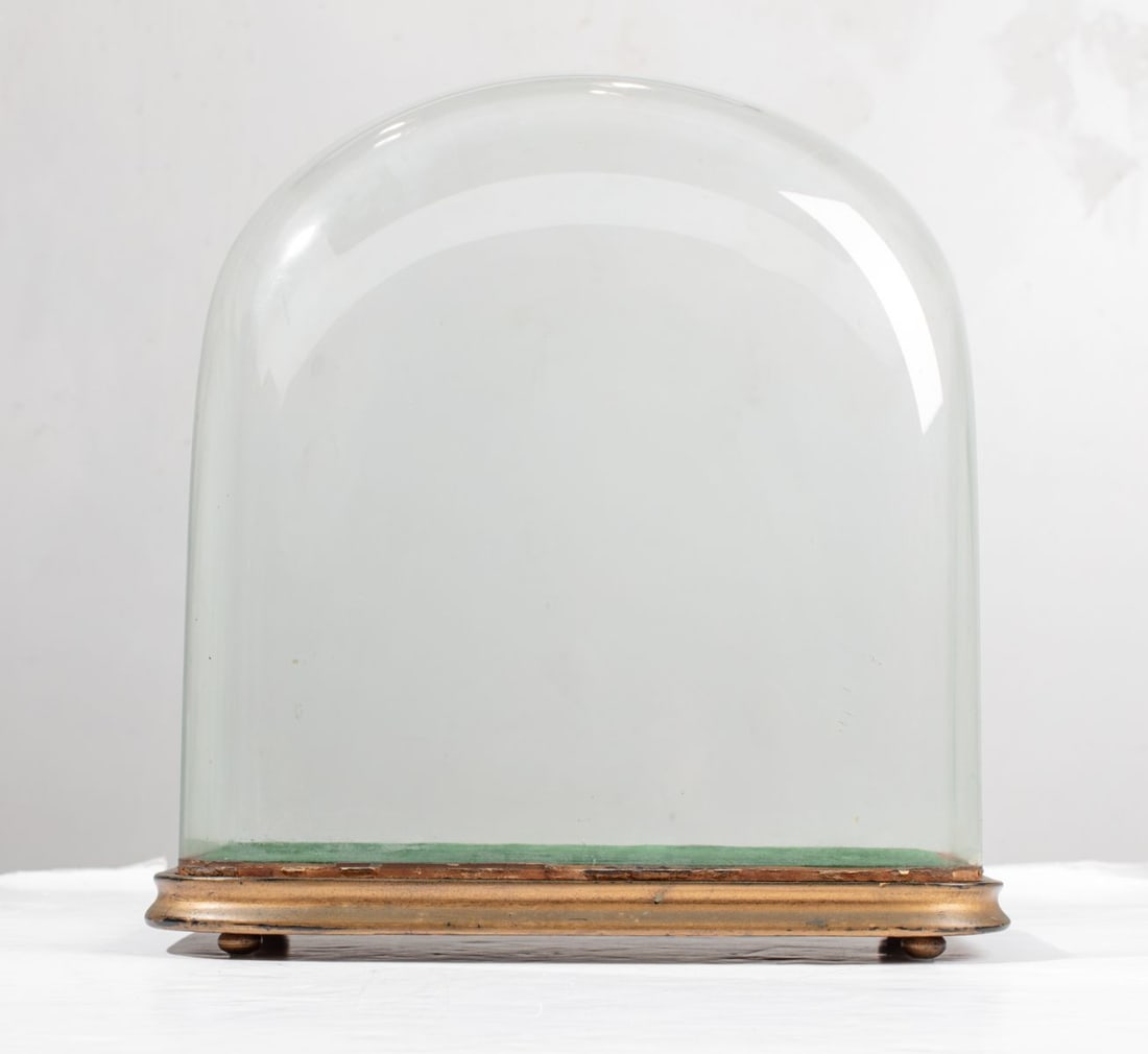Antique 19th C. Glass Cloche Display Dome (1 of 4)