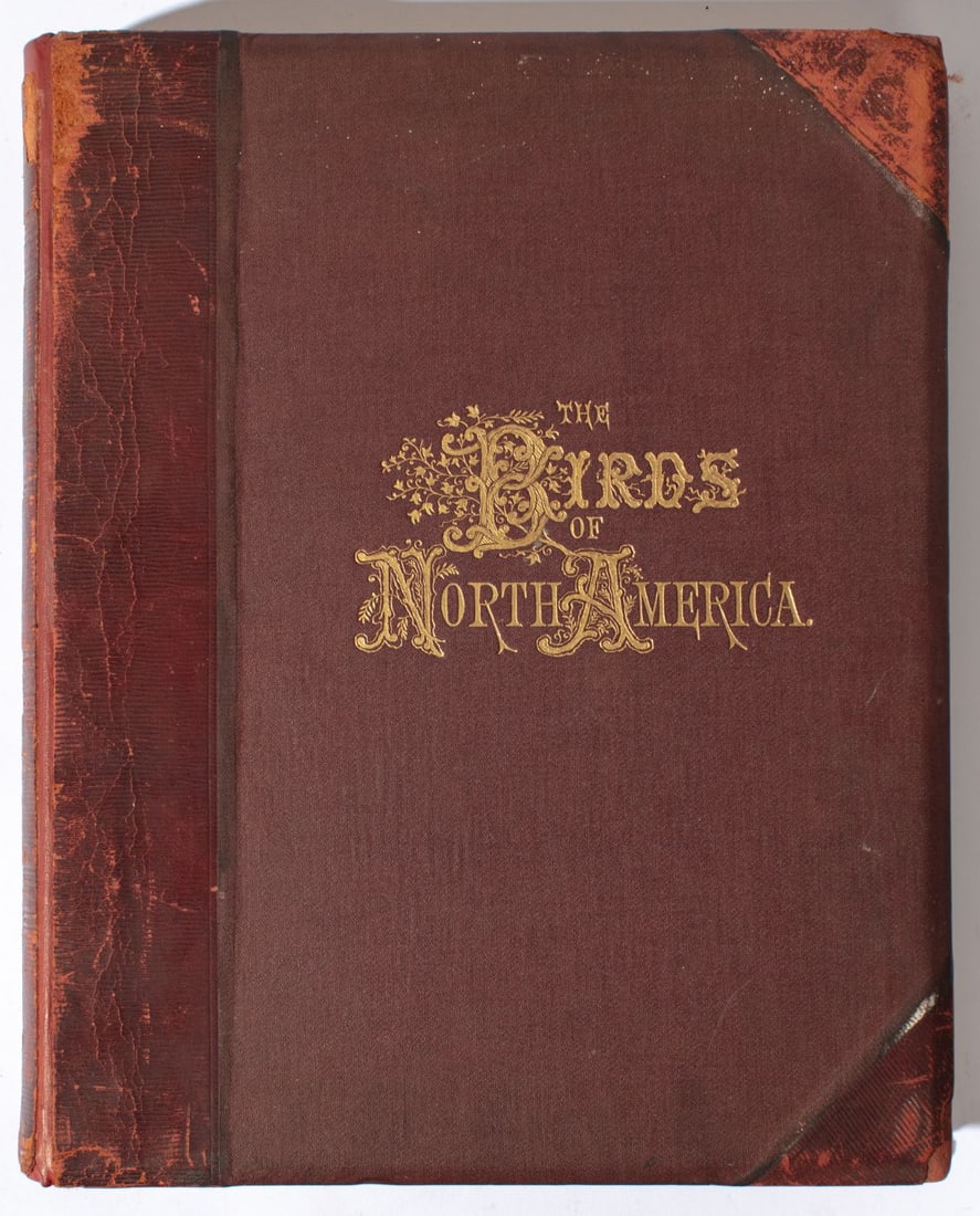 The Birds of North America Jacob H. Studer 1903: "The Birds of North America" by Jacob H. Studer. Cloth and leather binding with gilt details; color plate illustrations. Published 1903 by The Natural Science Association of America. Good condition wi