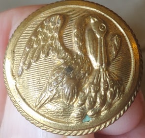 Civil War large size Louisiana Confederate coat button.