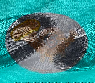 CW Officer's Infantry Officer's Bullion Embroidered Cap Insignia
