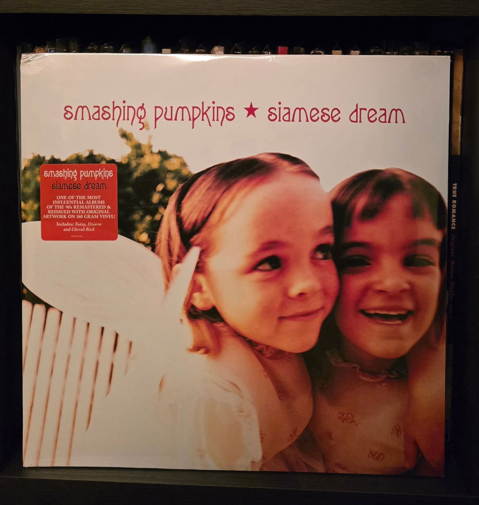 Smashing Pumpkins - Siamese Dream - Sealed Vinyl 2LP: Brand new and sealed with hype sticker. Top left corner ding on the jacket. This is the 2025 reissue that utilizes the original album artwork. Siamese Dream is the Smashing Pumpkins' greatest work,