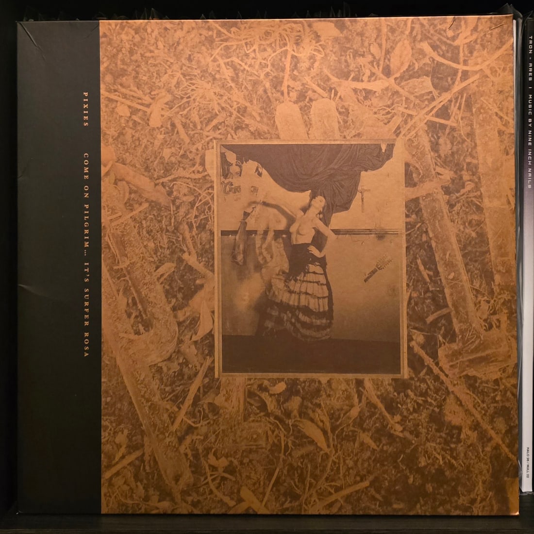 The Pixies - Come On Pilgrim... It's Surfer Rosa - 3LP Gold Colored Vinyl: This excellent release combines both the EP and album with an additional live LP of the following performances from The Fallout Shelter: The Holiday Song I'm Amazed Rock A My Soul Isla De Encanta Cari