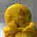 item-69591450=8