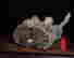item-70203814=6