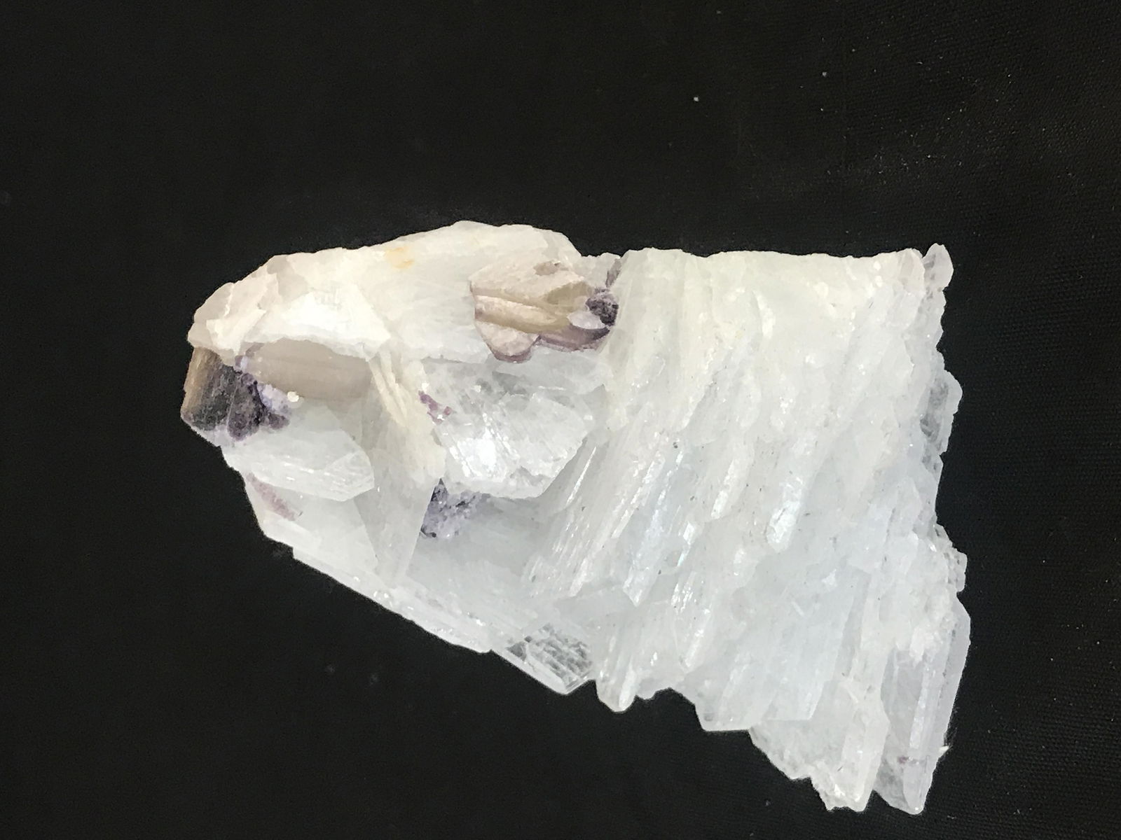 Clevelendite, Lepidolite and Muscovite Specimen (1 of 7)