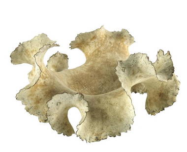 Ursula Morley Price, a studio pottery sculptural bowl,: Ursula Morley Price, a studio pottery sculptural bowl, naturalistic coral form with wavy crimped rim, oatmeal glazed, seal mark, 34cm diameter