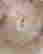 item-128934302=4