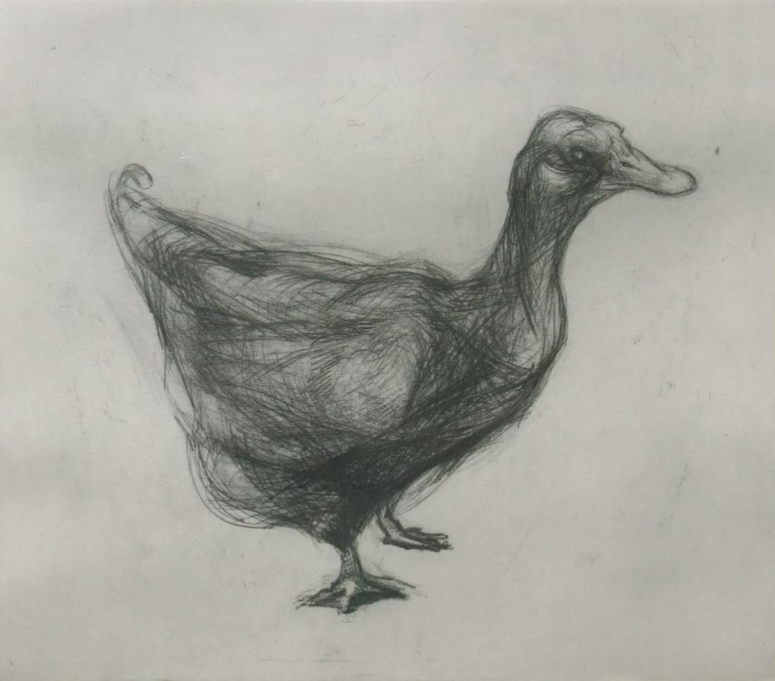 Nicola Hicks M.B.E. (British, 1960), Duc: Nicola Hicks M.B.E. (British, 1960), Duck, signed and dated 1996 l.r., No.13/75, monochrome etching, 40 by 56cm, framed. Note: Artist Resale Rights apply