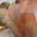 item-129115480=3