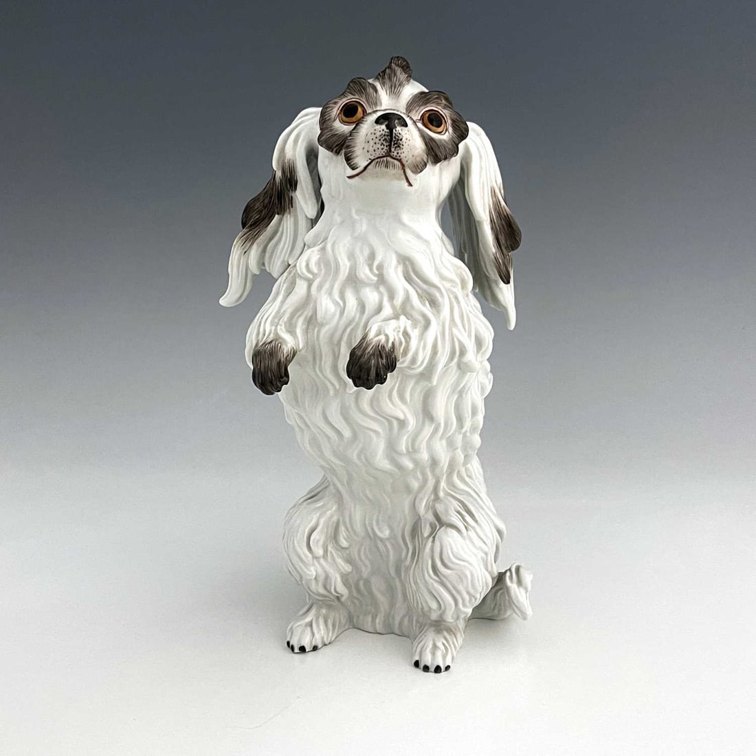 A Meissen figure of a Bolognese dog, mod: A Meissen figure of a Bolognese dog, model 78586, early 20th century, after J J Kaendler, modelled sitting upright on hind legs, paws raised, incised and painted marks, 26cm high
